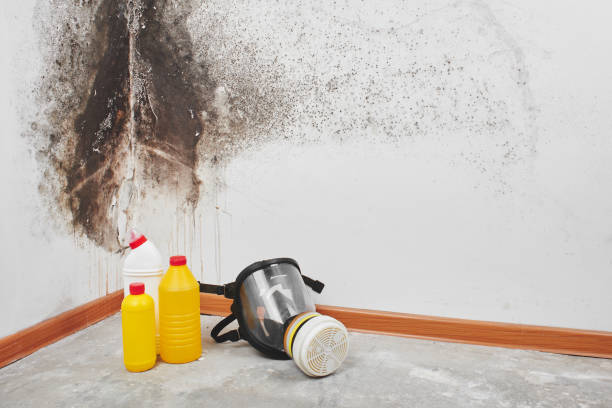 Professional Water damage restoration in Weston, NJ