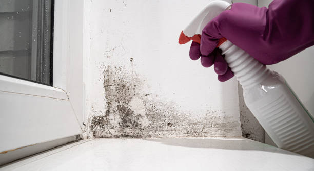 Water damage restoration experts in Weston, NJ